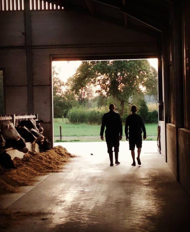 De Burkelhoeve Appc Maldegem Eksteriør bilde