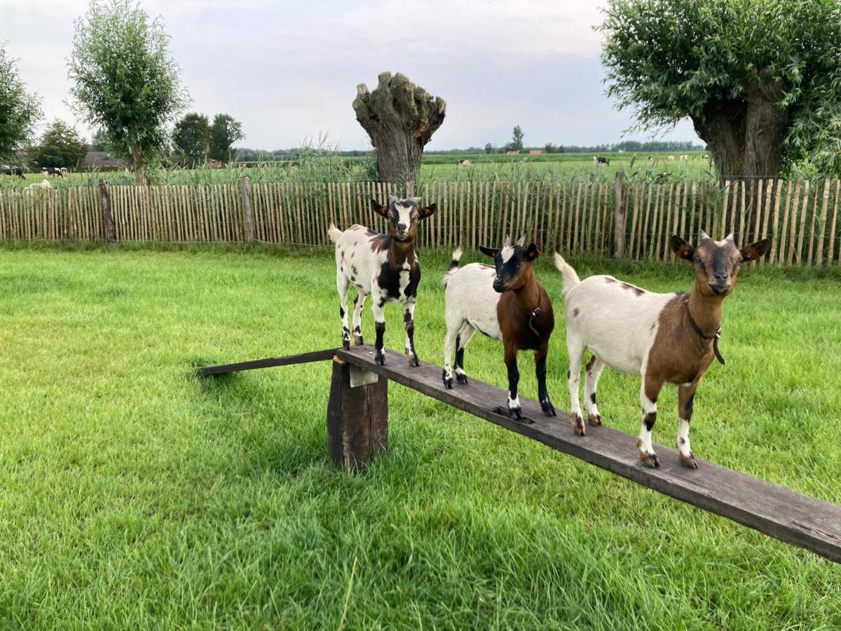 De Burkelhoeve Appc Maldegem Eksteriør bilde